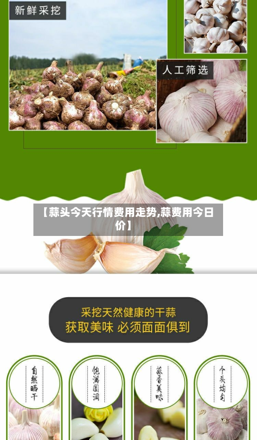 【蒜头今天行情费用走势,蒜费用今日价】-第1张图片