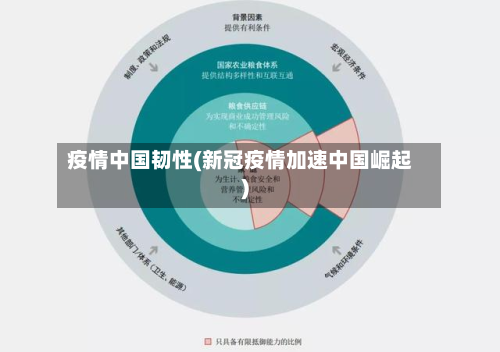 疫情中国韧性(新冠疫情加速中国崛起)-第1张图片