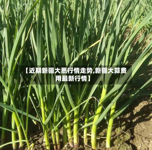 【近期新疆大葱行情走势,新疆大蒜费用最新行情】-第1张图片