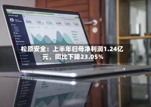 松原安全：上半年归母净利润1.24亿元，同比下降23.05%-第3张图片