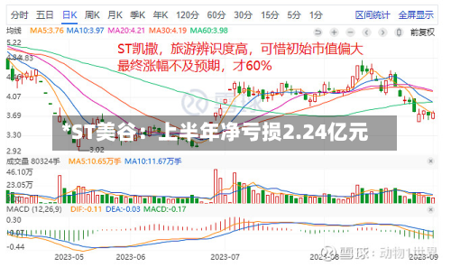 *ST美谷：上半年净亏损2.24亿元-第2张图片
