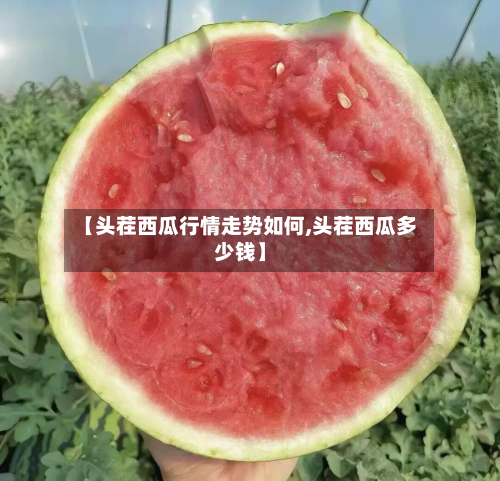 【头茬西瓜行情走势如何,头茬西瓜多少钱】-第1张图片