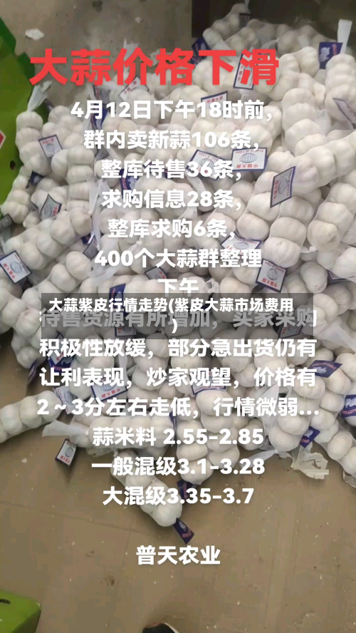 大蒜紫皮行情走势(紫皮大蒜市场费用)-第1张图片