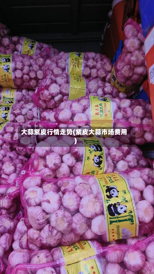 大蒜紫皮行情走势(紫皮大蒜市场费用)-第2张图片