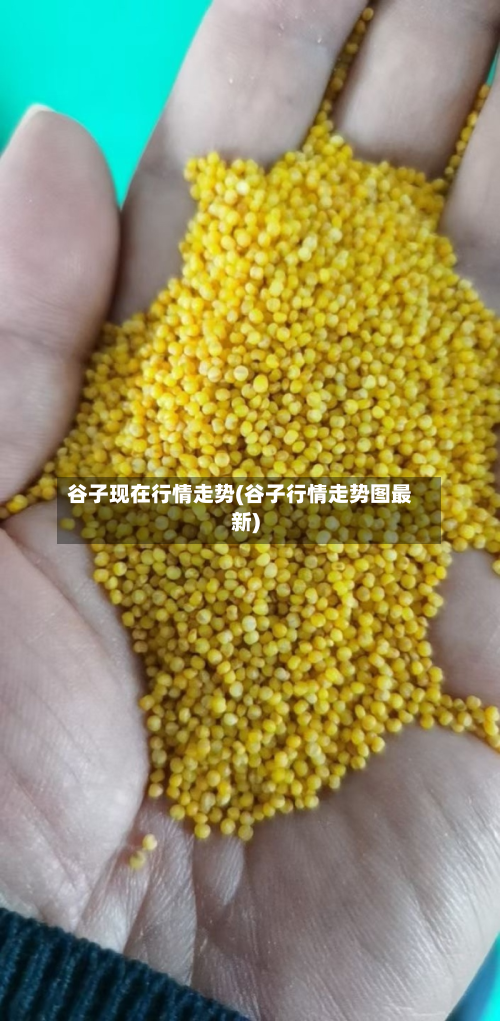 谷子现在行情走势(谷子行情走势图最新)-第3张图片