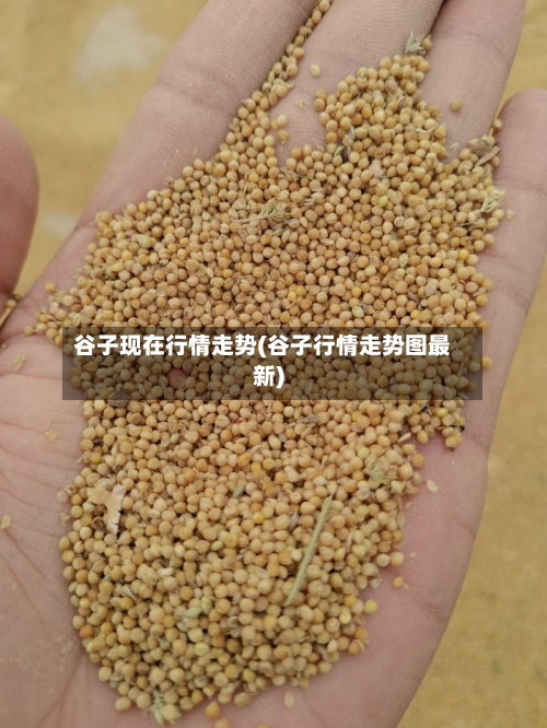 谷子现在行情走势(谷子行情走势图最新)-第1张图片