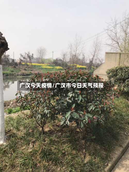 广汉今天疫情/广汉市今日天气预报-第2张图片
