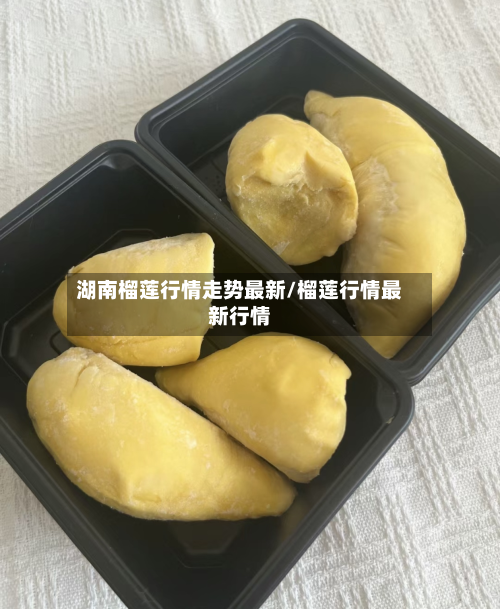 湖南榴莲行情走势最新/榴莲行情最新行情-第1张图片