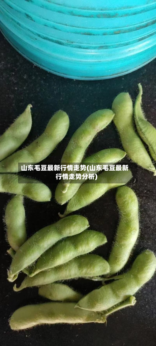 山东毛豆最新行情走势(山东毛豆最新行情走势分析)-第1张图片