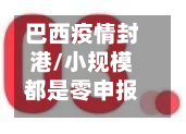 巴西疫情封港/小规模都是零申报吗-第3张图片