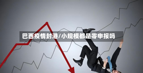 巴西疫情封港/小规模都是零申报吗-第1张图片