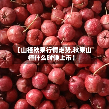 【山楂秋果行情走势,秋果山楂什么时候上市】-第1张图片