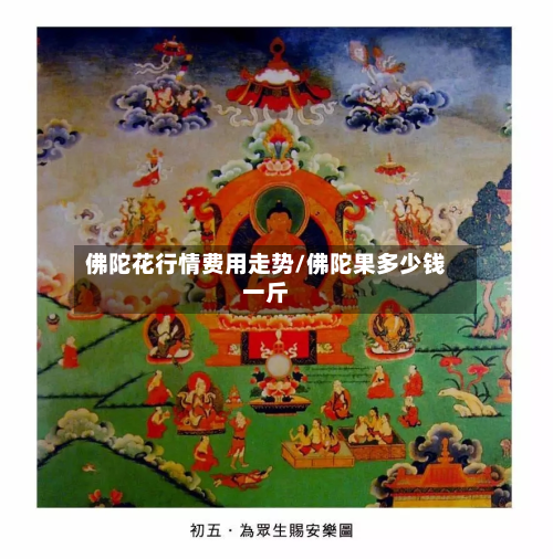 佛陀花行情费用走势/佛陀果多少钱一斤-第2张图片