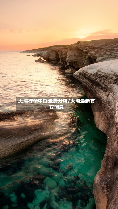 大海行情中期走势分析/大海最新官方消息-第1张图片