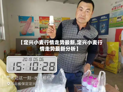 【定兴小麦行情走势最新,定兴小麦行情走势最新分析】-第1张图片