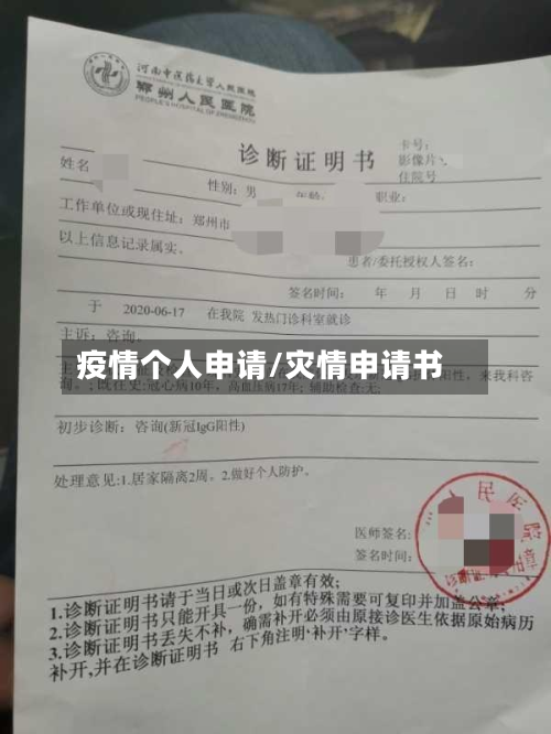 疫情个人申请/灾情申请书-第2张图片
