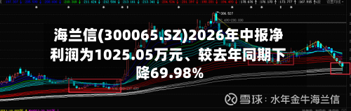 海兰信(300065.SZ)2026年中报净利润为1025.05万元	、较去年同期下降69.98%-第2张图片