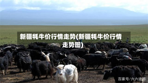 新疆牦牛价行情走势(新疆牦牛价行情走势图)-第1张图片