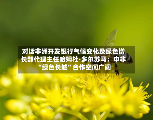 对话非洲开发银行气候变化及绿色增长部代理主任哈姆杜·多尔苏马：中非“绿色长城”合作空间广阔-第1张图片