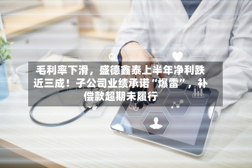毛利率下滑，盛德鑫泰上半年净利跌近三成！子公司业绩承诺“爆雷	”，补偿款超期未履行-第2张图片