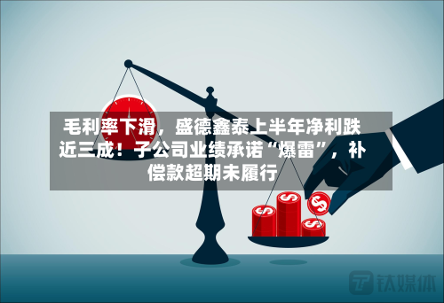 毛利率下滑，盛德鑫泰上半年净利跌近三成！子公司业绩承诺“爆雷”	，补偿款超期未履行-第1张图片