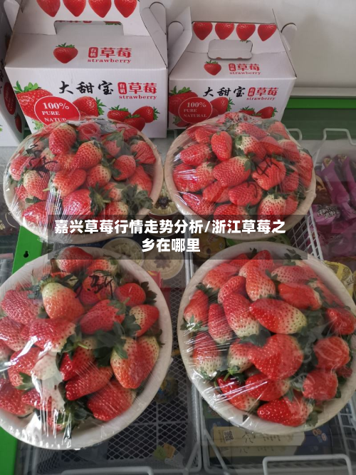 嘉兴草莓行情走势分析/浙江草莓之乡在哪里-第1张图片
