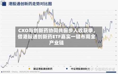 CXO与创新药协同共振步入收获季，借港股通创新药ETF嘉实一键布局全产业链-第2张图片