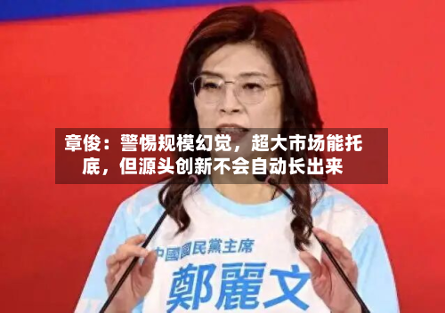 章俊：警惕规模幻觉	，超大市场能托底，但源头创新不会自动长出来-第1张图片