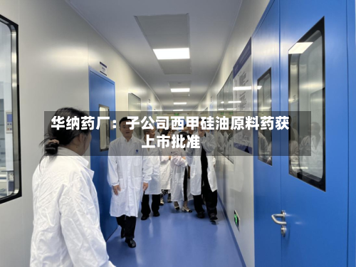 华纳药厂:子公司西甲硅油原料药获上市批准-第1张图片