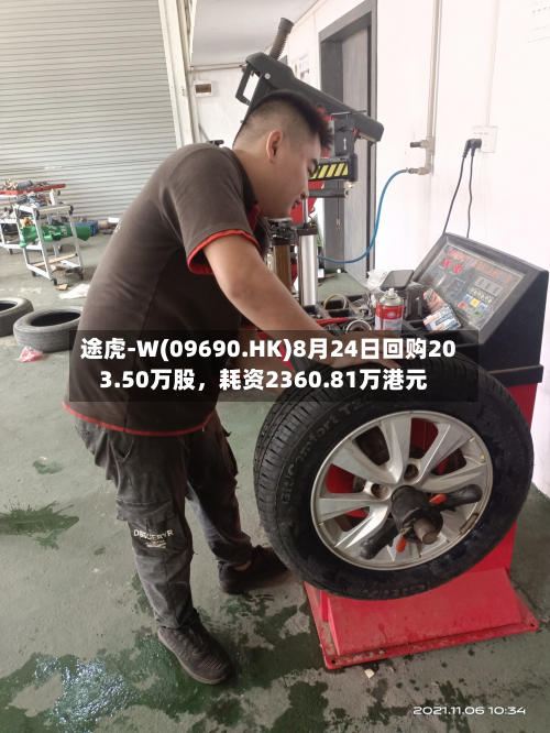 途虎-W(09690.HK)8月24日回购203.50万股，耗资2360.81万港元-第1张图片
