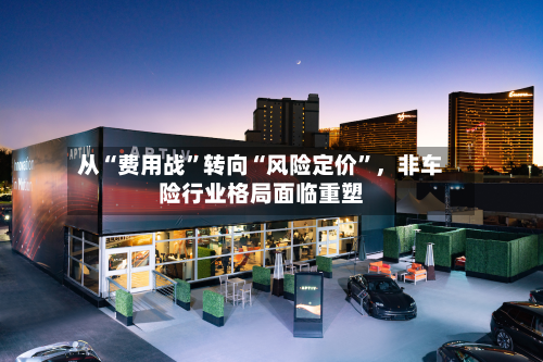 从“费用战”转向“风险定价	”，非车险行业格局面临重塑-第3张图片