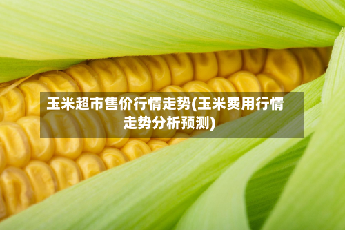 玉米超市售价行情走势(玉米费用行情走势分析预测)-第3张图片