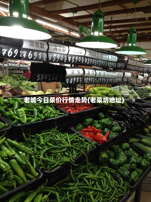 老城今日菜价行情走势(老菜坊地址)-第1张图片