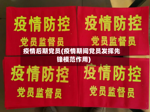 疫情后期党员(疫情期间党员发挥先锋模范作用)-第1张图片