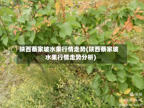 陕西蔡家坡水果行情走势(陕西蔡家坡水果行情走势分析)-第1张图片