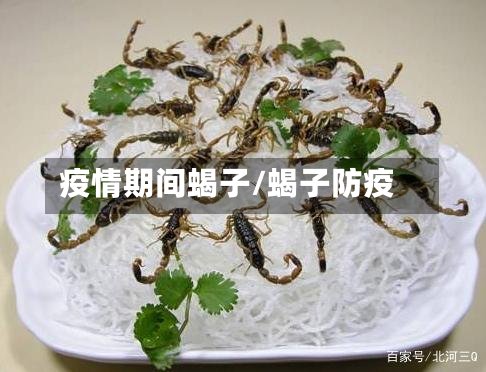 疫情期间蝎子/蝎子防疫-第3张图片