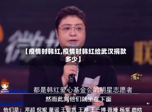 【疫情时韩红,疫情时韩红给武汉捐款多少】-第1张图片