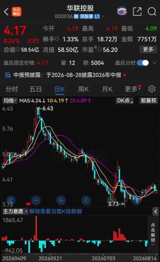 华联控股产业转型突然遇阻，拟投资阿根廷锂盐湖项目触发审查